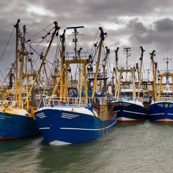 Modern fishing boats under a brooding sky in a dutch fishing harbor